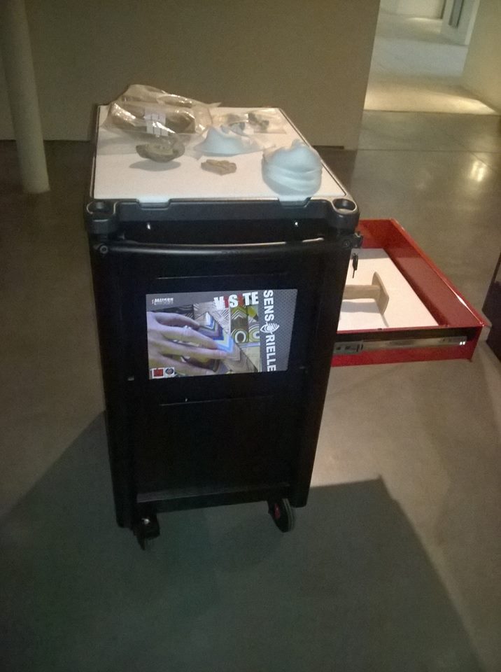 17972422_815097698659459_7249656524303607852_o