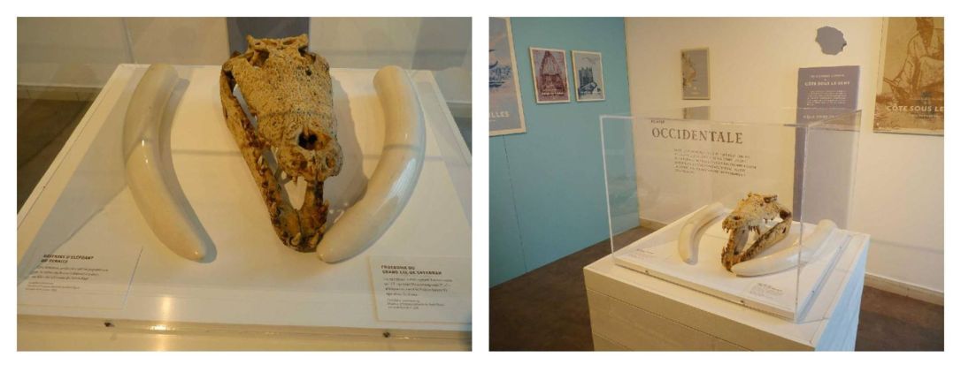 19703031_850671871768708_583612691204091759_o