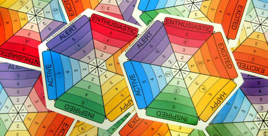 Cette photographie représente plusieurs kit d'évaluation du bien-être