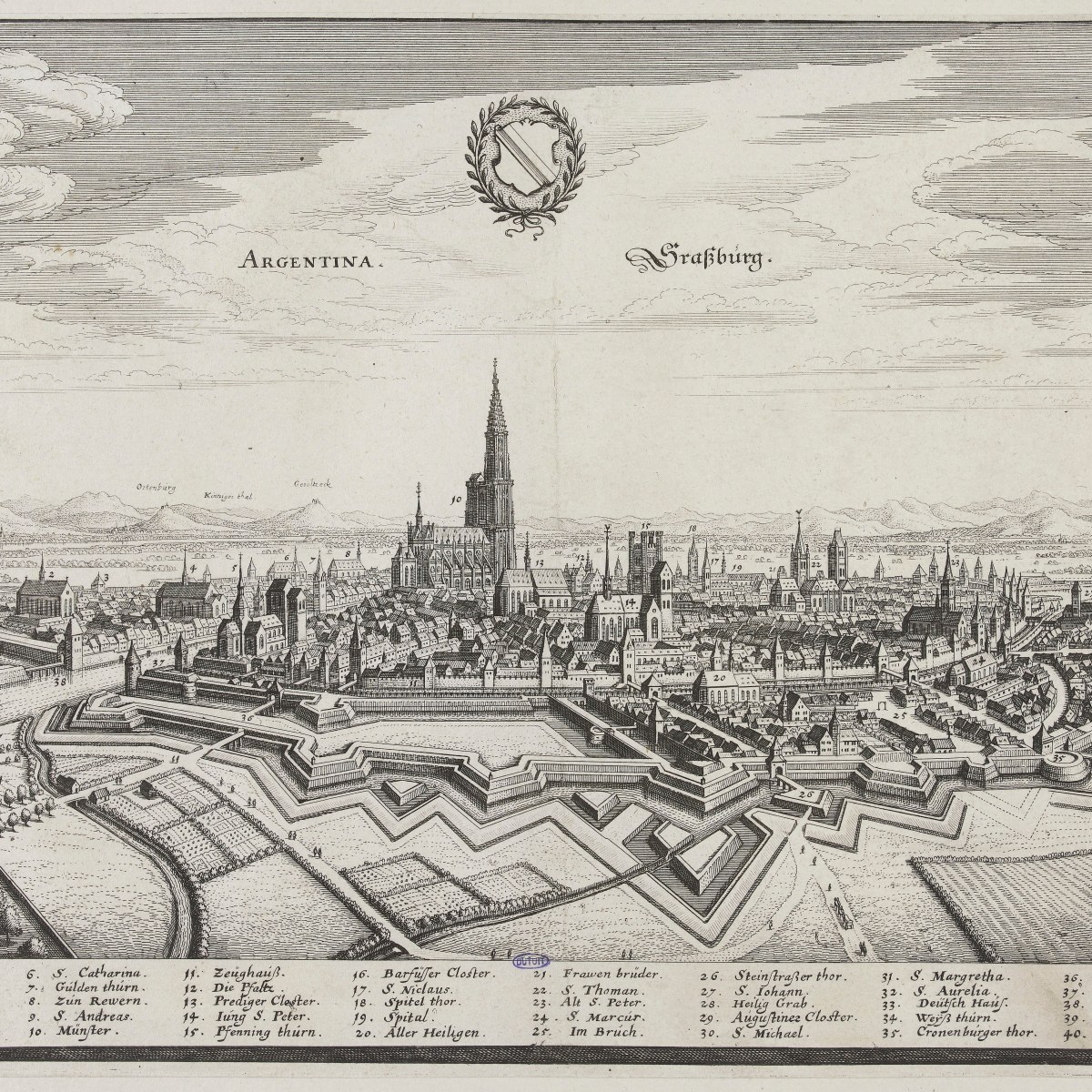 Démarche consultative et participative en vue de la réouverture du Musée Zoologique de&nbsp;Strasbourg.