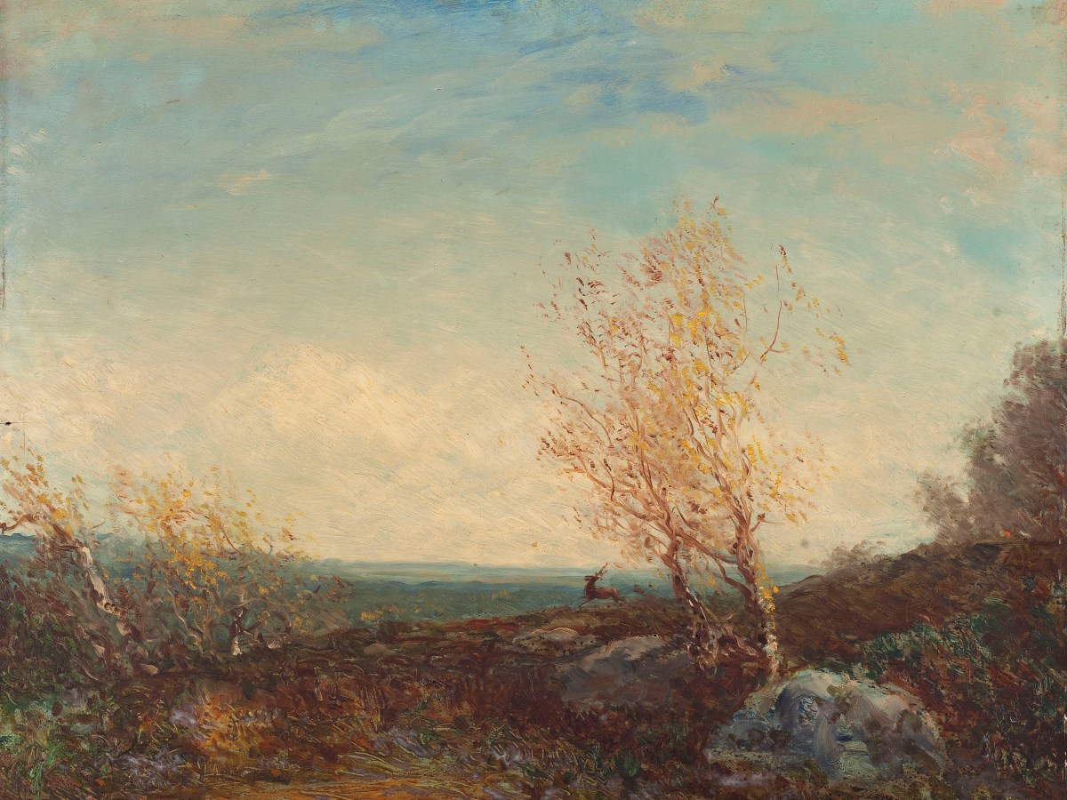 L’écologie comme sujet d’exposition : accompagner la transition et ses&nbsp;imaginaires.