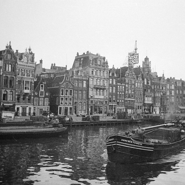 Como tornar vivo o seu museu:Entrevista sobre Museus Regenerativos com a pesquisadora Lucimara&nbsp;Letelier.